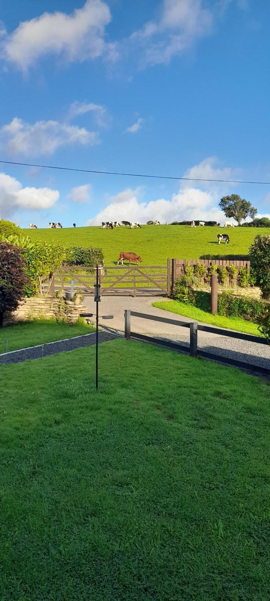 圣提斯Wisteria Barn, Trewethen, St Teath, Nr Port Isaac别墅 外观 照片